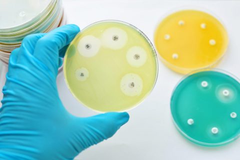 antibiotic resistance