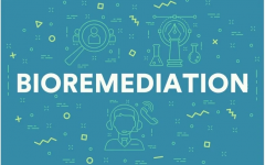 bioremediation
