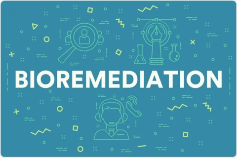 bioremediation