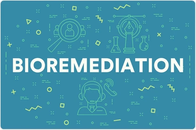 bioremediation