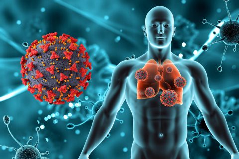 3d-render-medical-background-with-male-figure-lungs-covid-19-virus-cells (1)