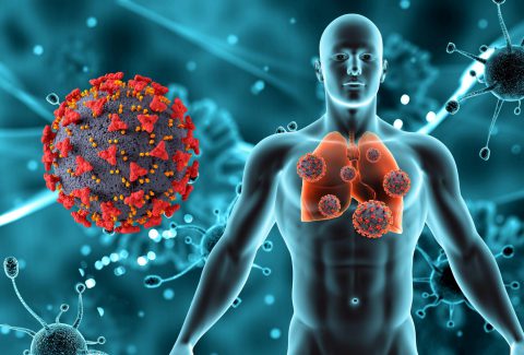 3d-render-medical-background-with-male-figure-lungs-covid-19-virus-cells (1)