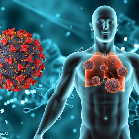 3d-render-medical-background-with-male-figure-lungs-covid-19-virus-cells (1)