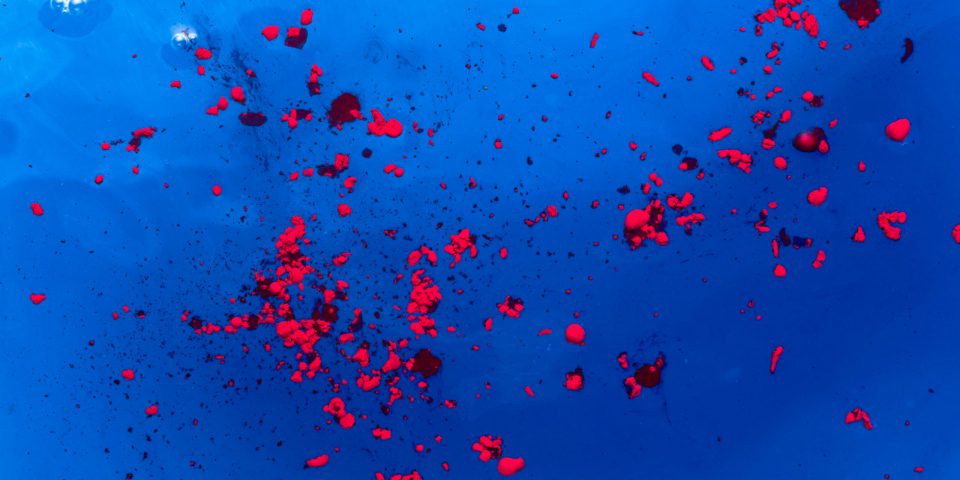 Blue blood