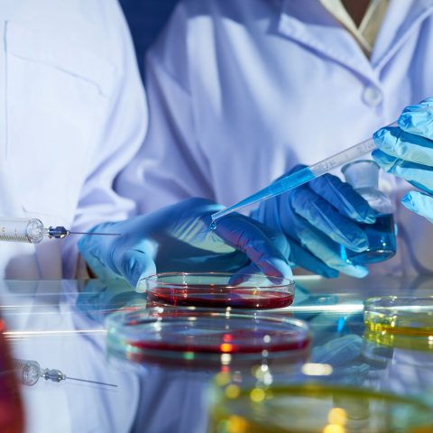 Joint Work of Talented Scientists